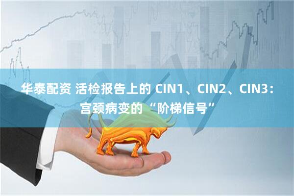 华泰配资 活检报告上的 CIN1、CIN2、CIN3：宫颈病变的 “阶梯信号”